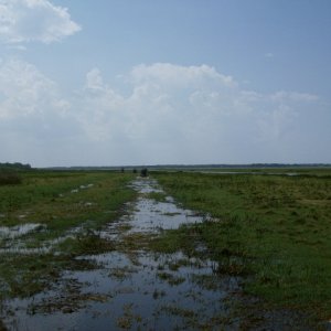 southwest_shore