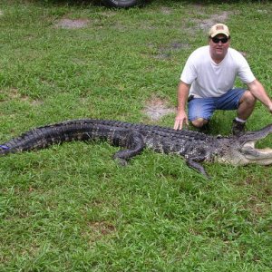 GATOR_2008_HUNTS