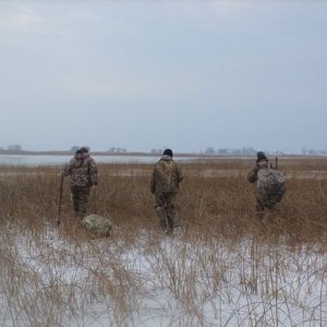 scouting for a spot to hunt