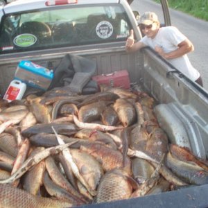 Fish killing