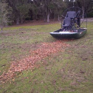 trail of leaves to get unstuck,ha ha