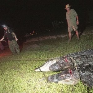 Pulling gators up the hill during wounded warrior gator hunt